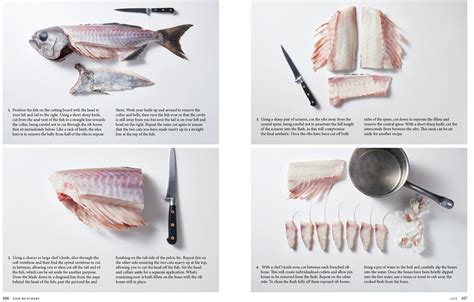 FISH BUTCHERY BY JOSH NILAND.
